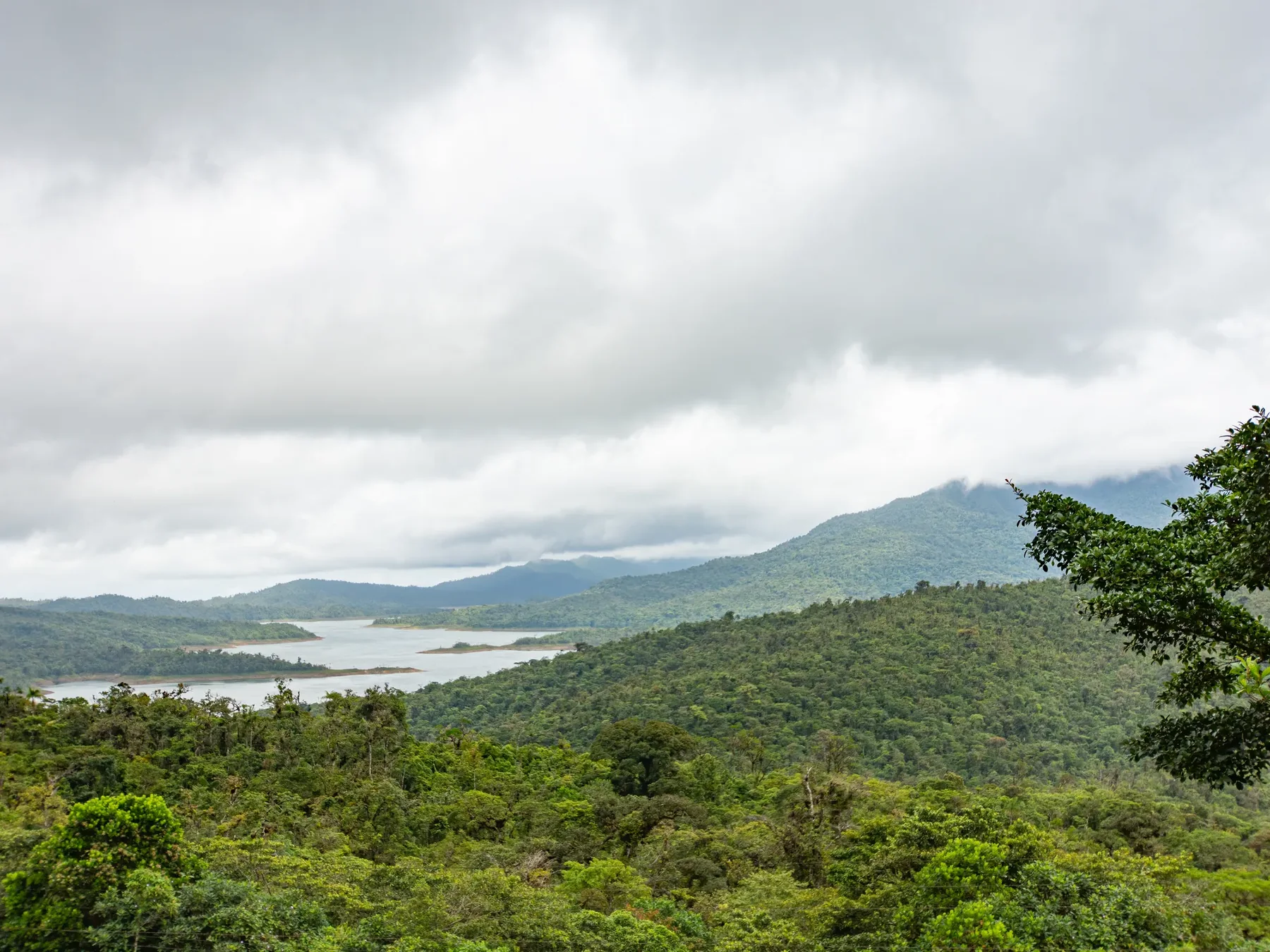 Paisaje de bosque tropical y agua como base territorial para proyectos de naturaleza