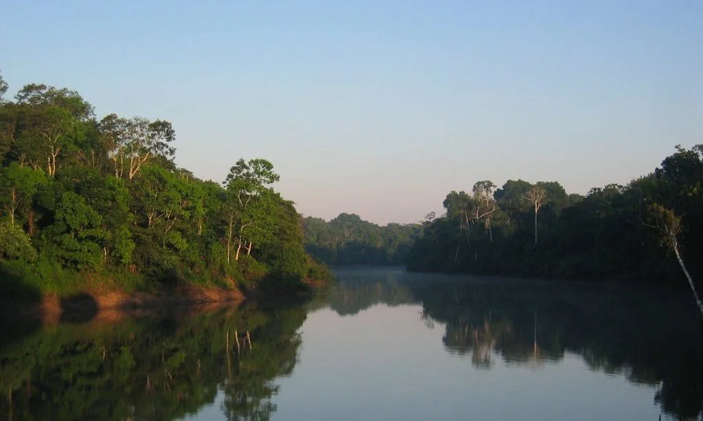 Río rodeado de bosque como activo natural territorial