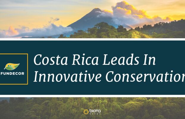 Revolutionizing Sustainable Finance: Costa Rica Leads in Innovative Conservation