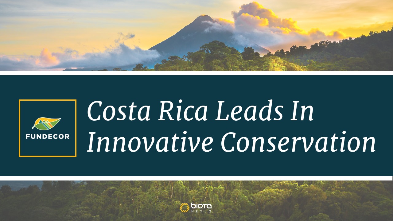 Revolutionizing Sustainable Finance: Costa Rica Leads in Innovative Conservation